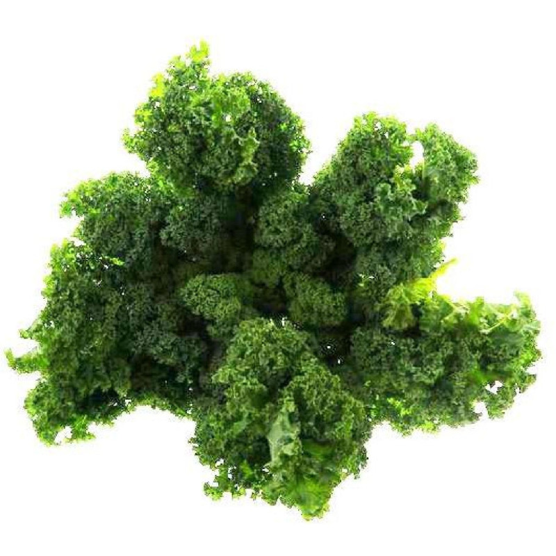 CHOU VERT MOUSSE 4PCS